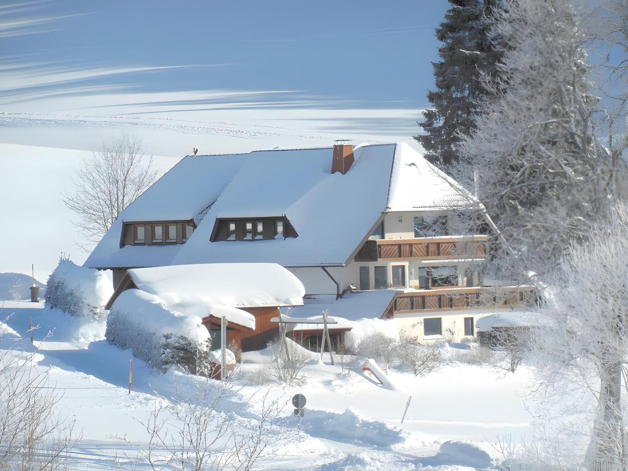 Ferienhaus Kaltenbach 蒂蒂湖-新城 外观 照片